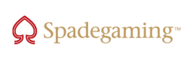 Provider Logo
